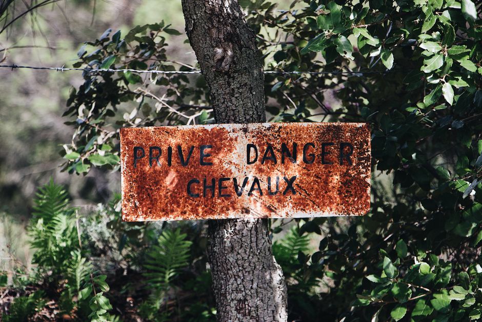 An old French warning sign on a tree amidst lush greenery, indicating danger and private property.