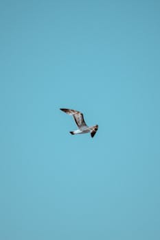 Breaking news: Diddy faces assault and scandal allegations, sparking a Bollywood-style drama.  Indian news update.