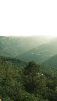 A breathtaking view of a lush green mountain valley during daylight.