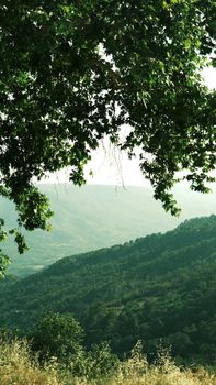 A serene view of lush green hills under a leafy tree during summertime.