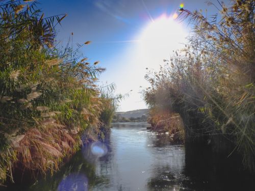 Free stock photo of nature, nile, river Stock Photo
