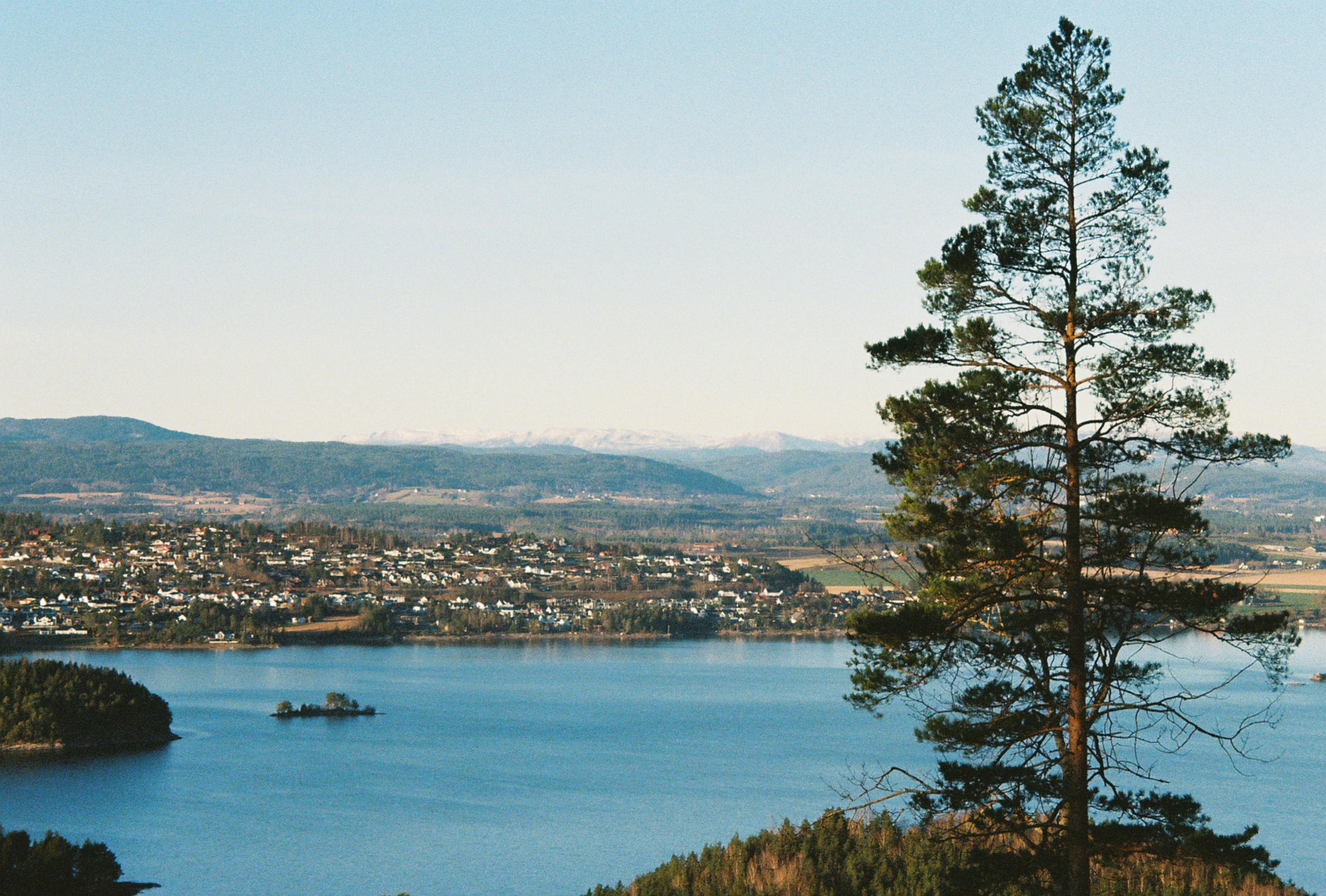 NextGen Nordics 2026: Digital assets at a crossroads — Photo by Grace L. on Pexels