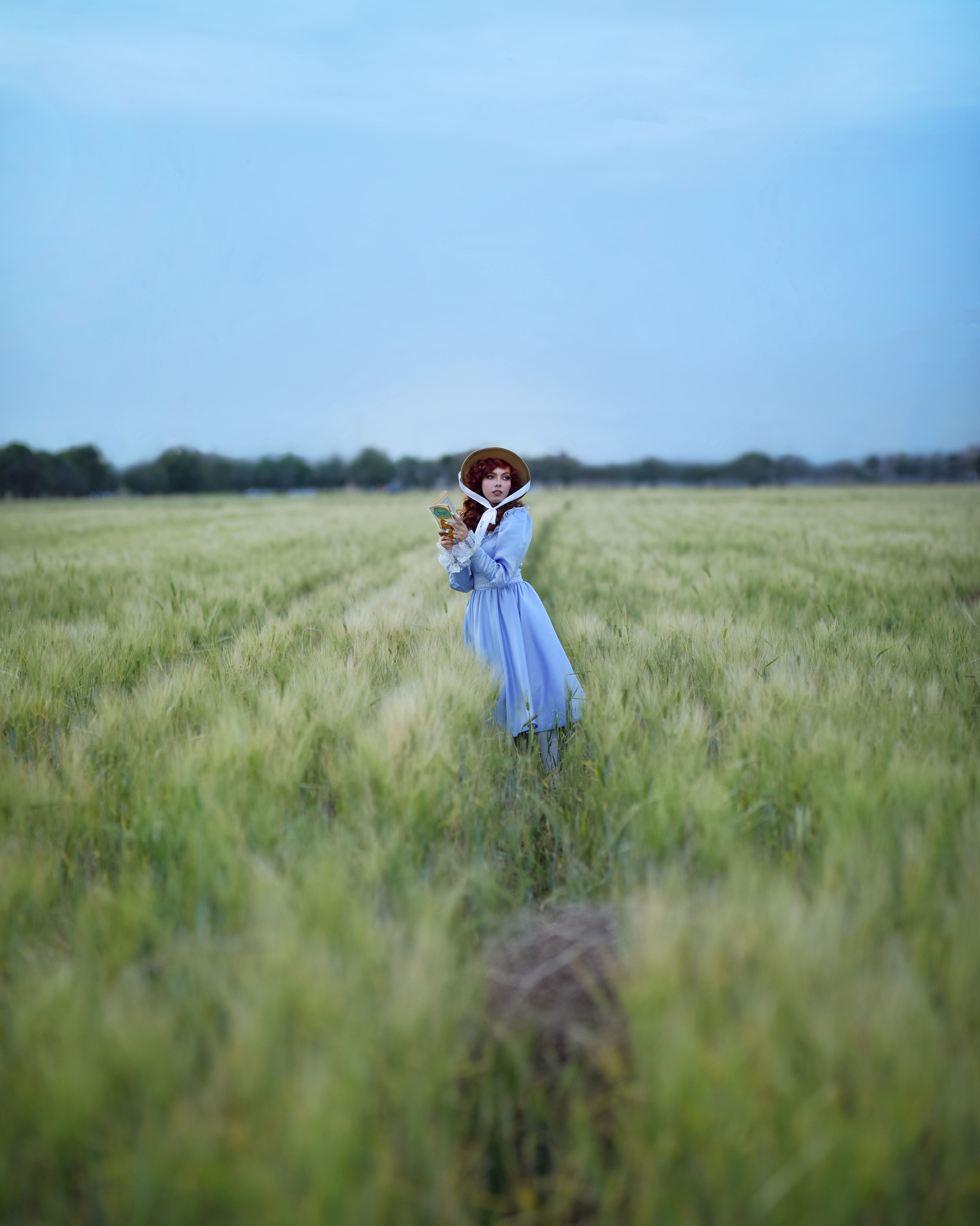 Woman in Blue Dress Walking Through Wheat Field · Free Stock Photo
