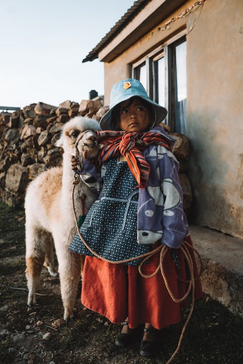 Young Girl Holding The  Rope On A White Alpaca Close To A House