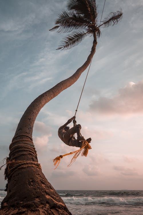 低角度拍摄的人绑在椰子树的绳子上荡秋千
