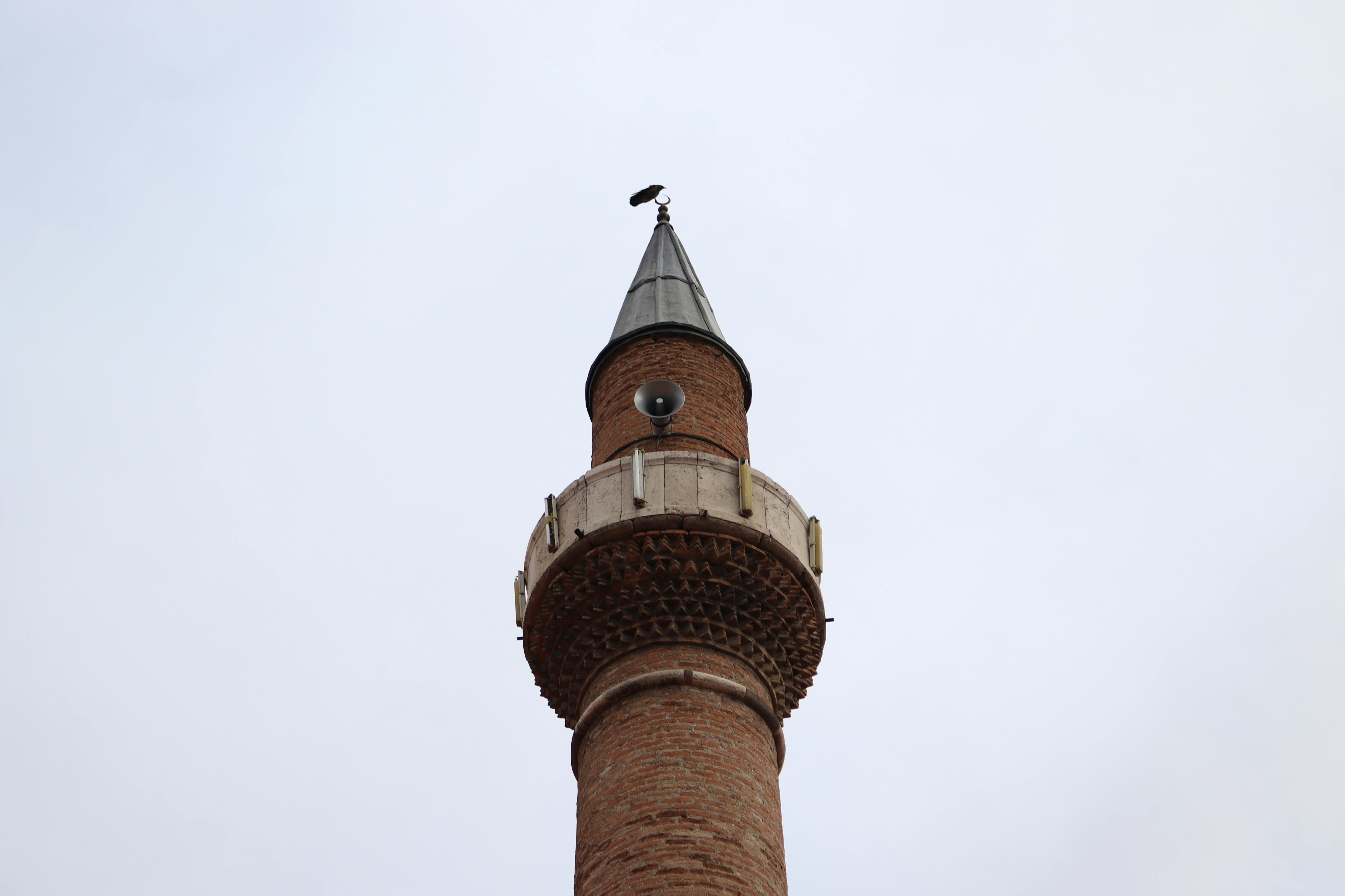 Uncover the Hidden Sexuality in Classic Fairy Tales