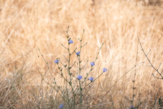 Image by Doğan Alpaslan  Demir