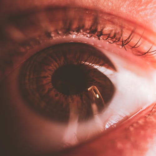 Closeup of wide opened brown eye of human looking up through red light