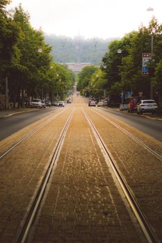 View of Kassel's tram tracks at sunset, lined with trees and cars, capturing urban tranquility.
