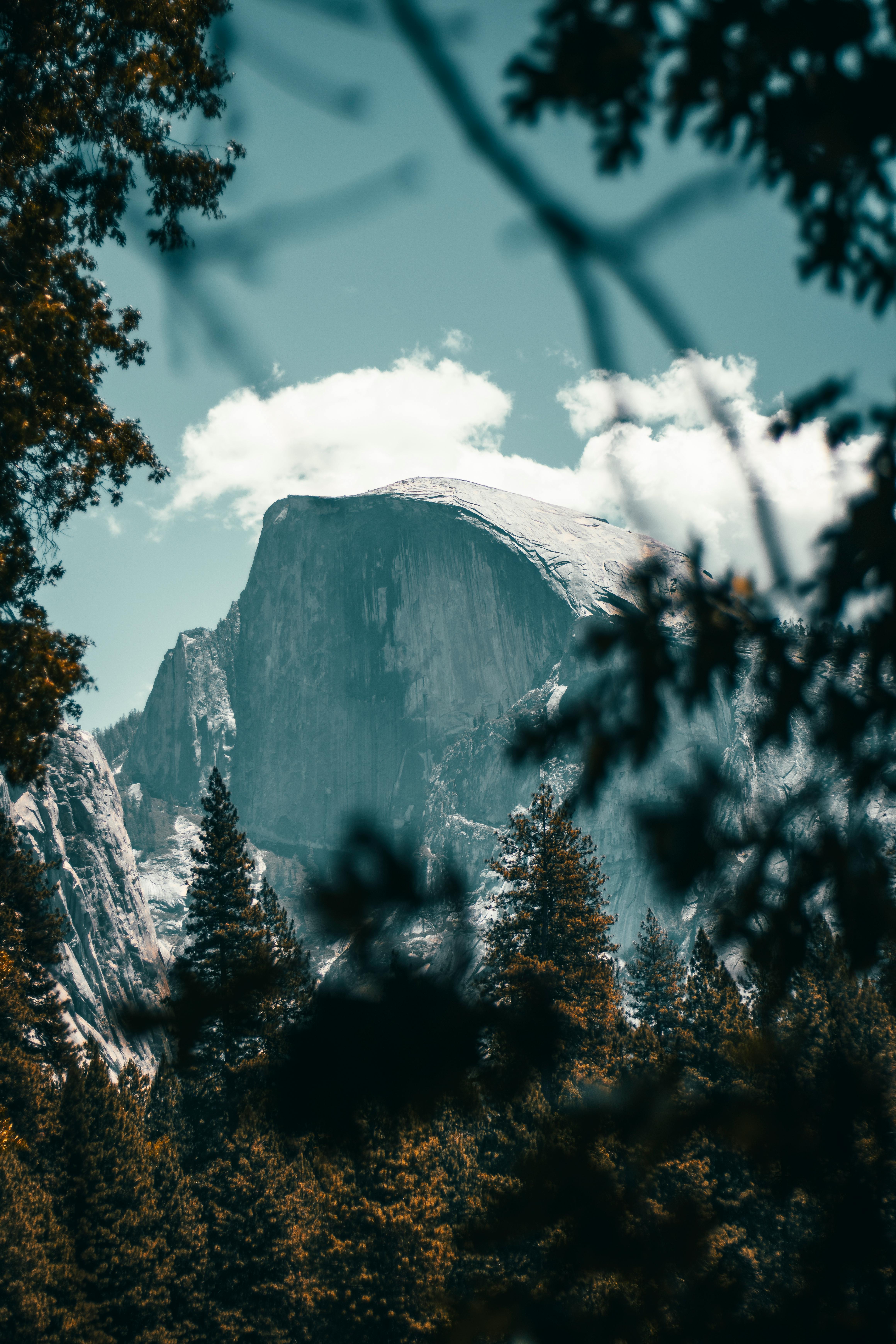 Gratis Yosemite – Klik Di Half Dome Selama Bäume Im Herbst Foto Stok