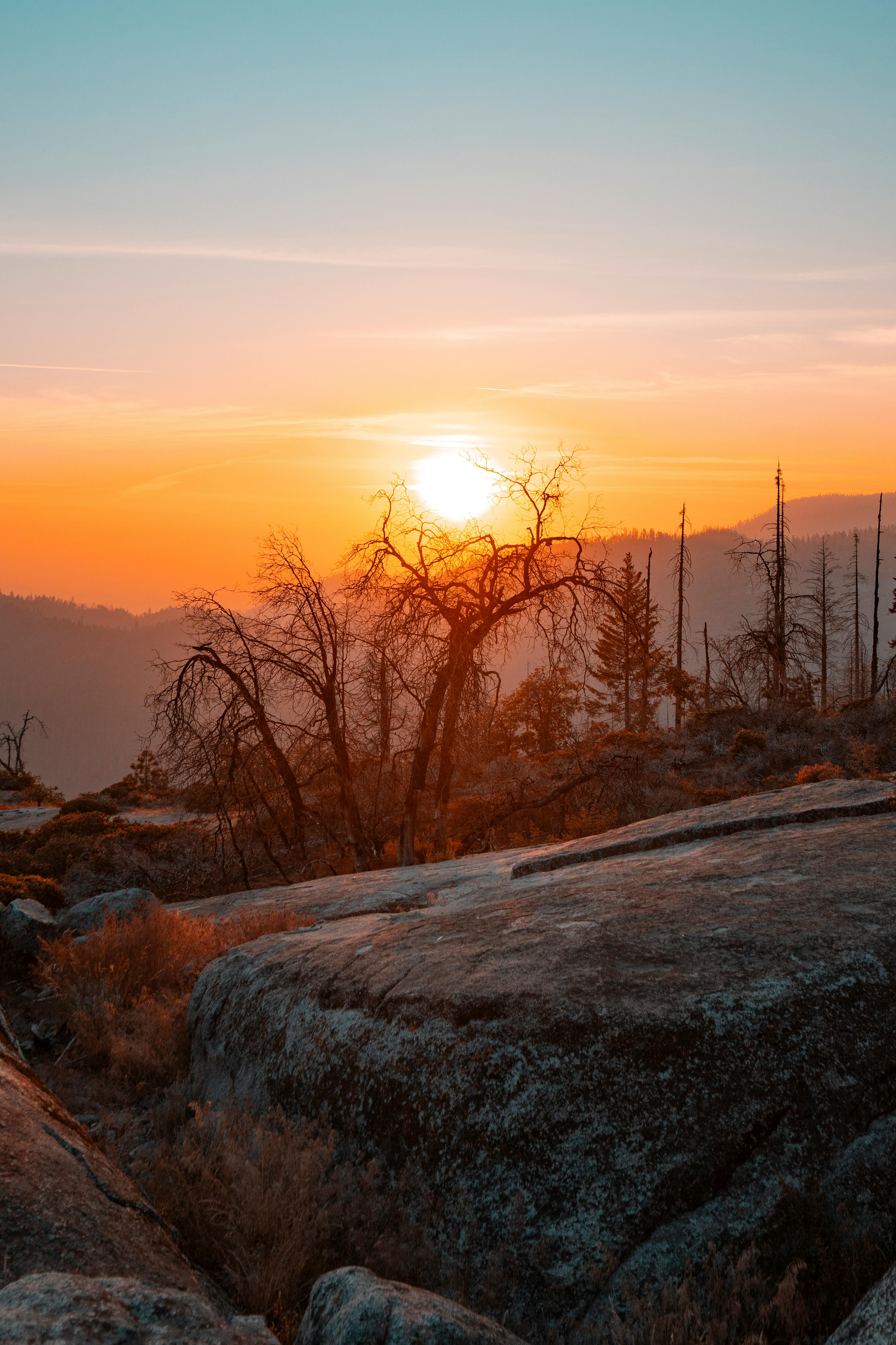 Bezpłatne Sonnenuntergang Zwischen Den Bäumen W Parku Narodowym Sequoia Zdjęcie z galerii