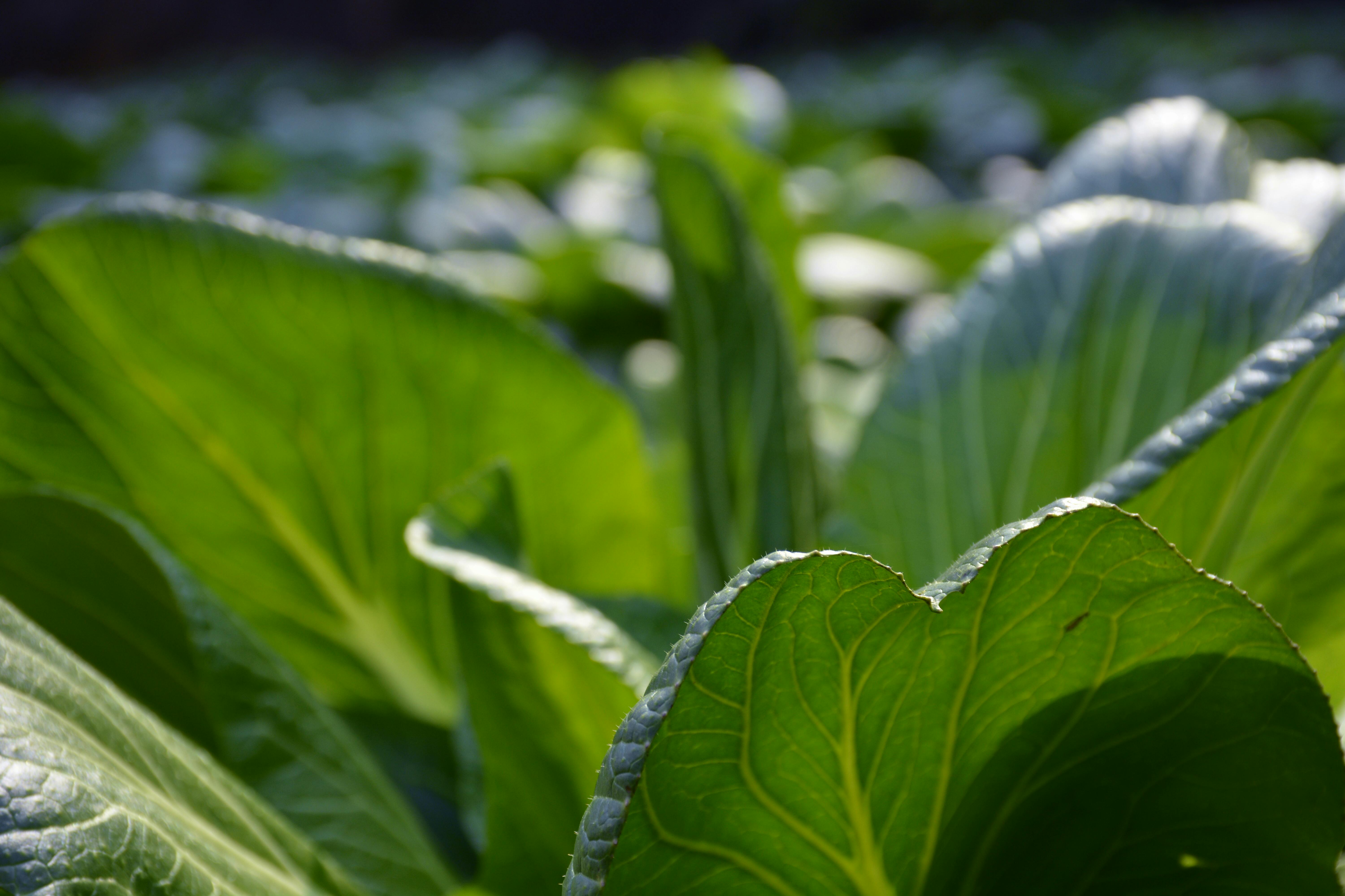 Breakthrough Strategies to Master Emotional Intelligence