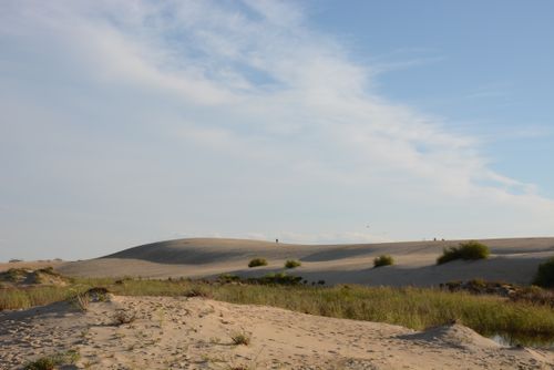 Free Expansive desert landscape featuring serene sand dunes and a clear blue sky. Perfect for travel and nature themes. Stock Photo