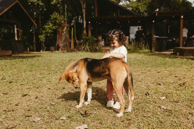 Dog playing in a clean residential backyard