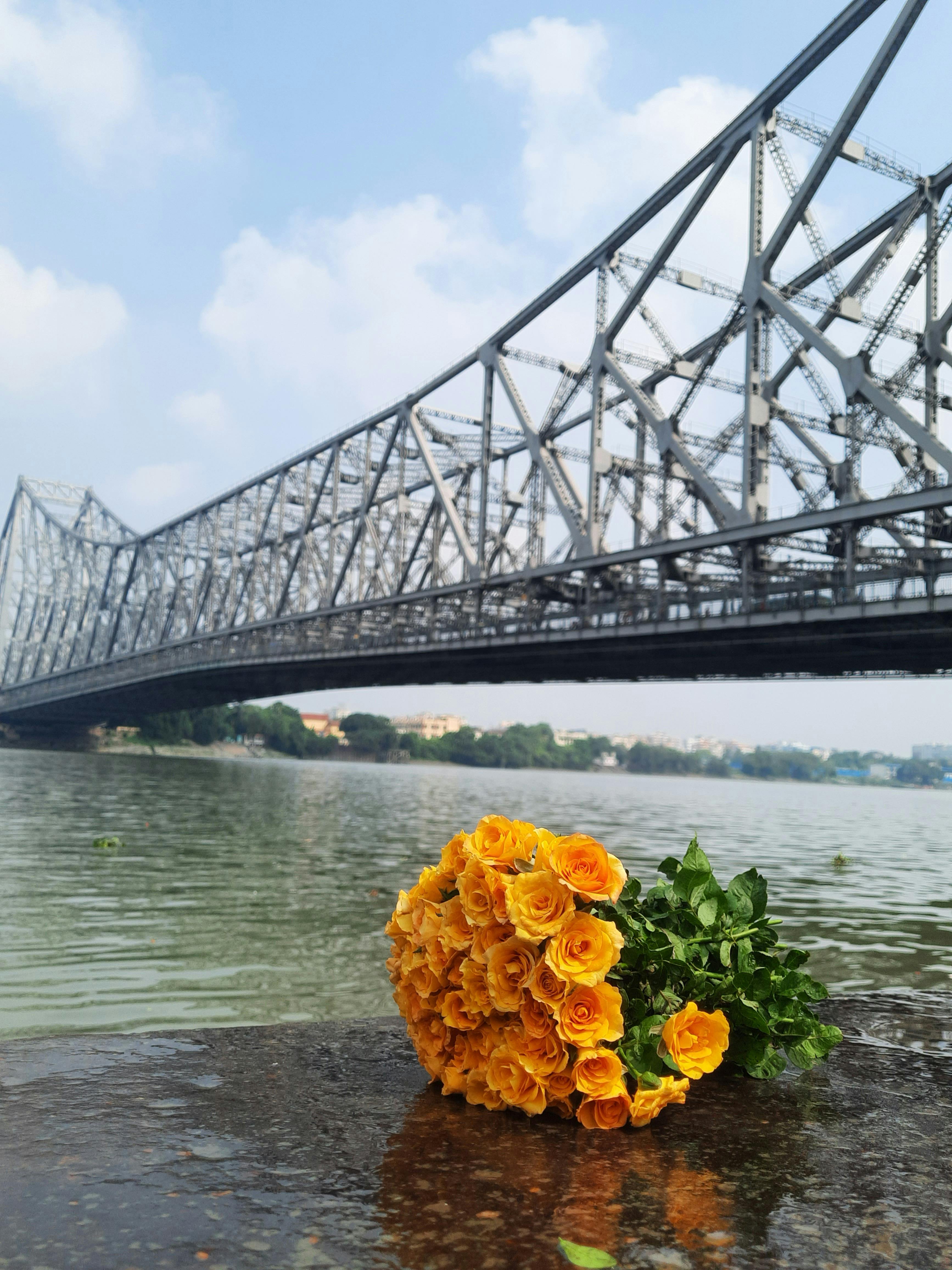 Howrah Bridge Photos, Download The BEST Free Howrah Bridge Stock Photos \u0026  HD Images, image size:3468x4624