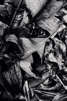 用黑白描绘干叶的抽象图案，手法复杂