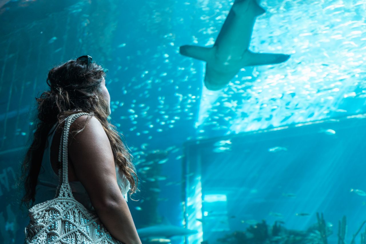 a woman gazes at a shark swimming overhead in a vibrant aquarium displ