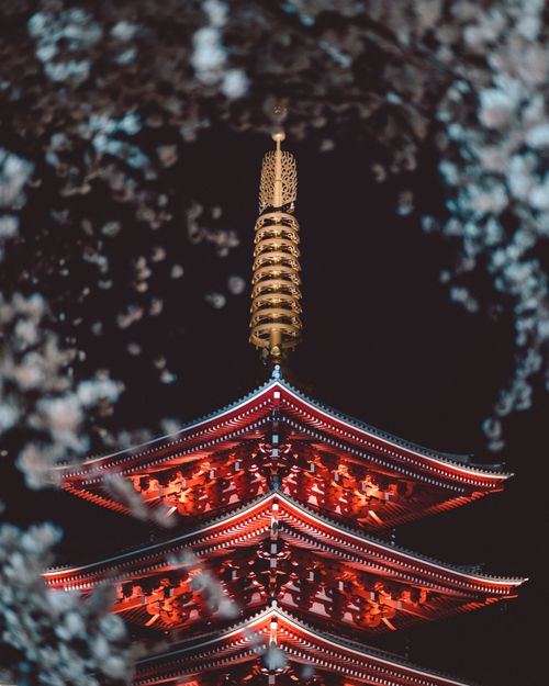 Free A beautifully lit pagoda framed by cherry blossoms, showcasing intricate details at night. Stock Photo