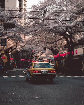 出租车沿着樱花盛开的街道行驶，营造出春天宁静的城市景象