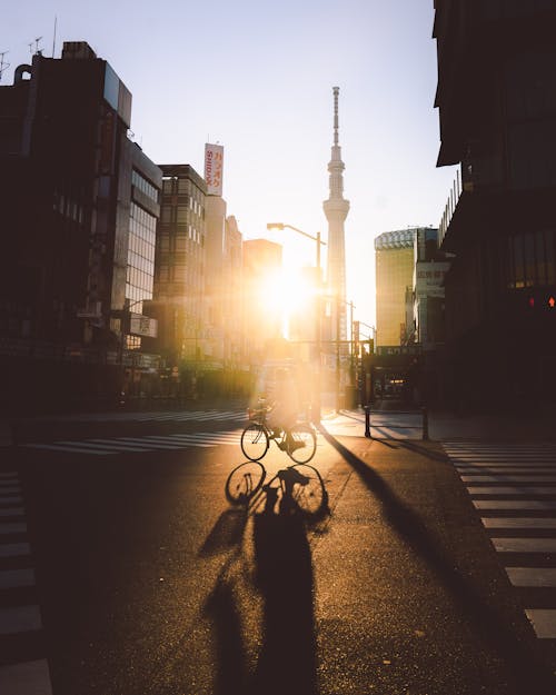 Free Person Riding Bicycle Stock Photo
