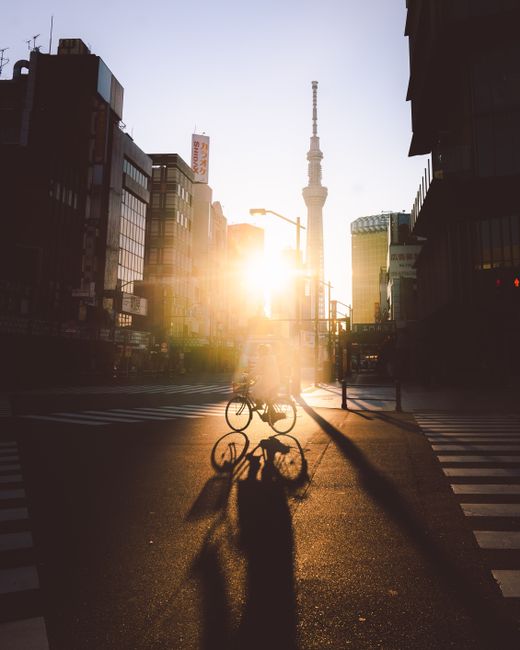 A cyclist passes through an urban cityscape during sunset, casting a long shadow on the street.