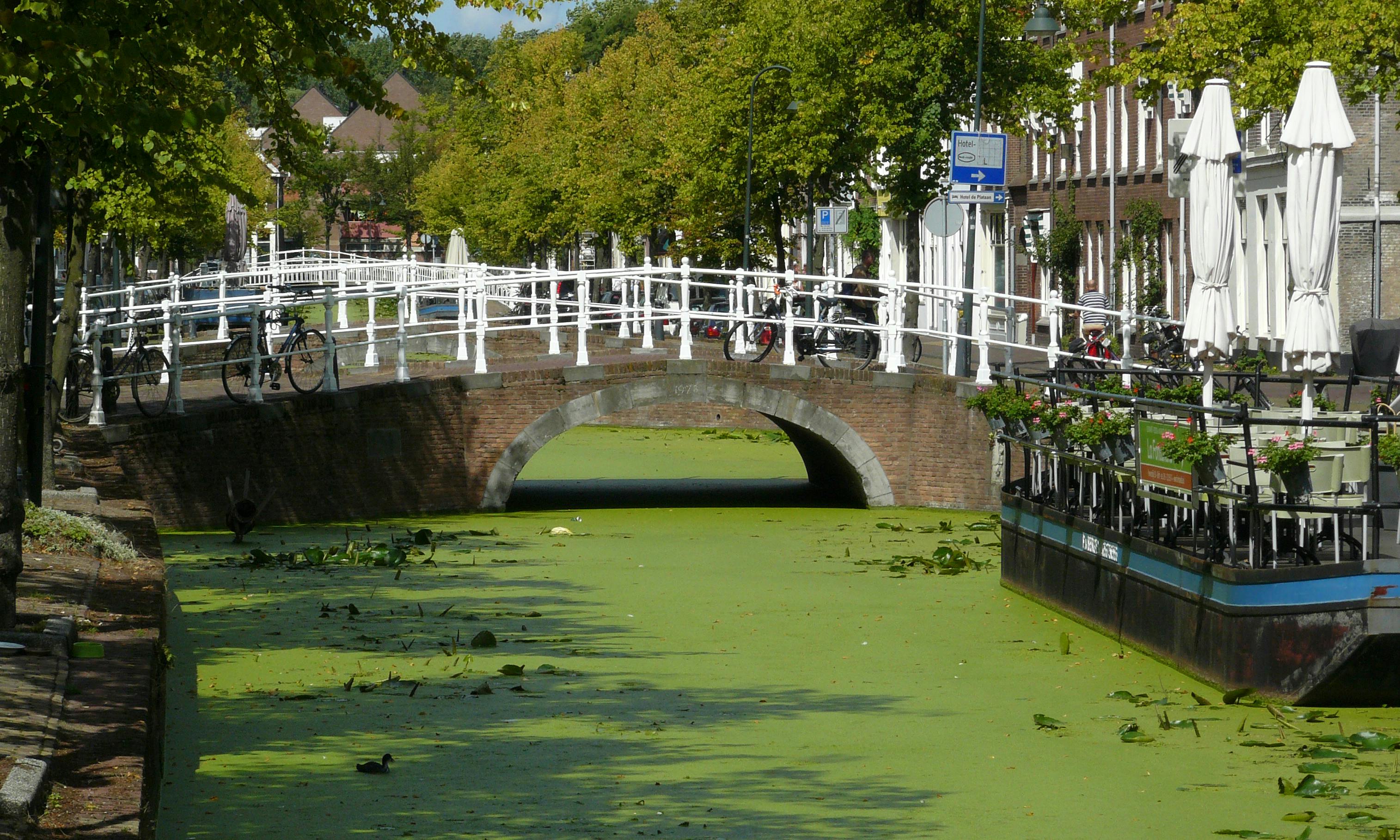 Midden-Delfland natuurgebied
