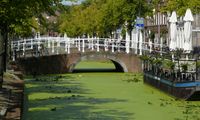 Delft