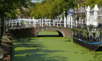 Delft