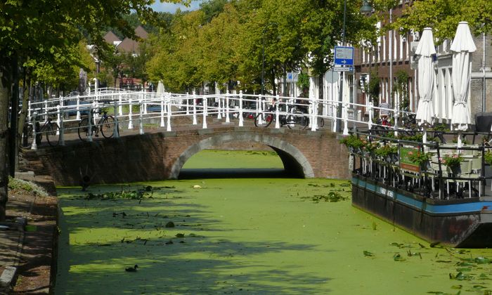 Delft