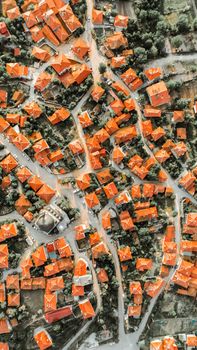 Aerial photograph showcasing a pattern of red roof buildings in a small village.