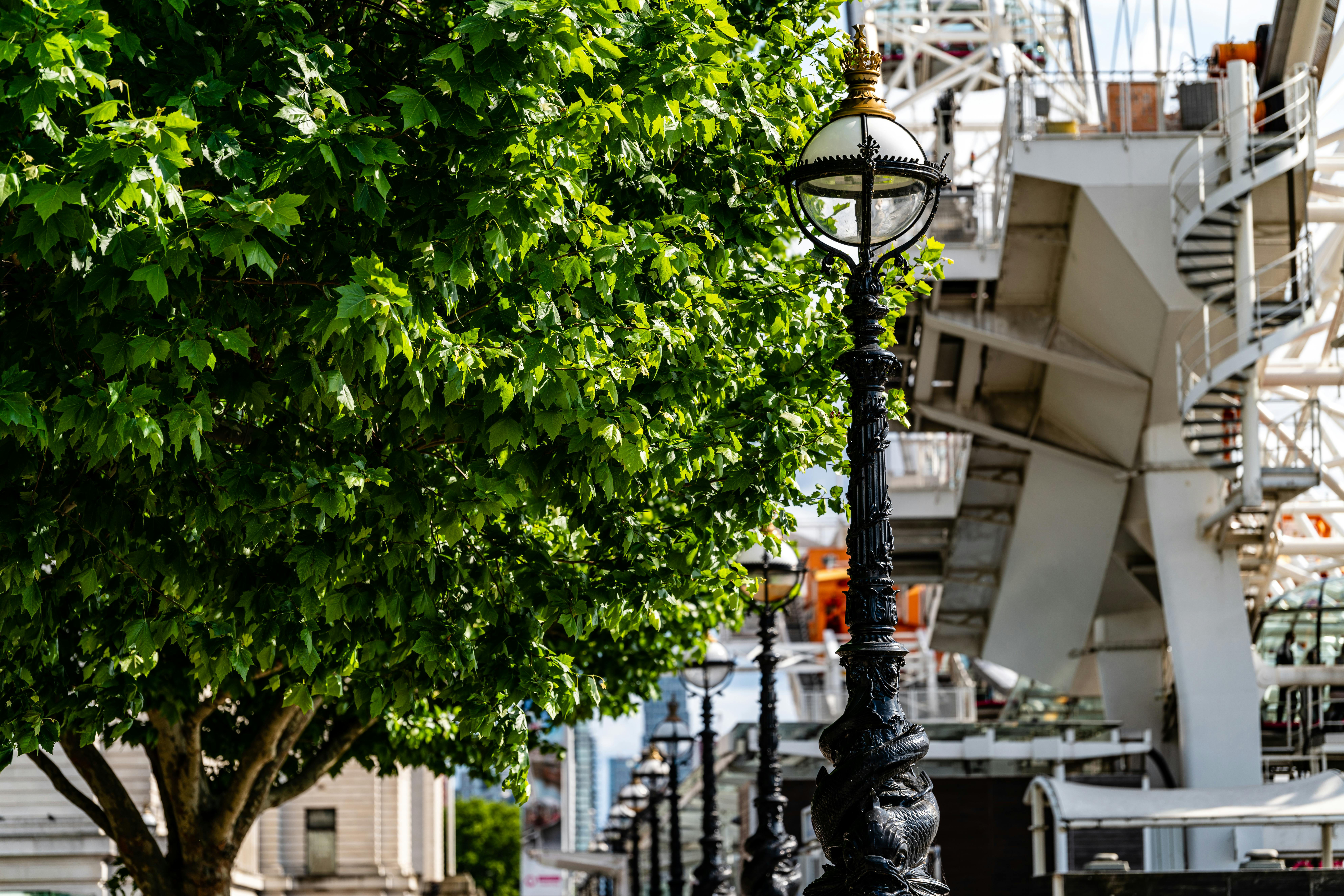 Secret Tips for Photographing Big Ben