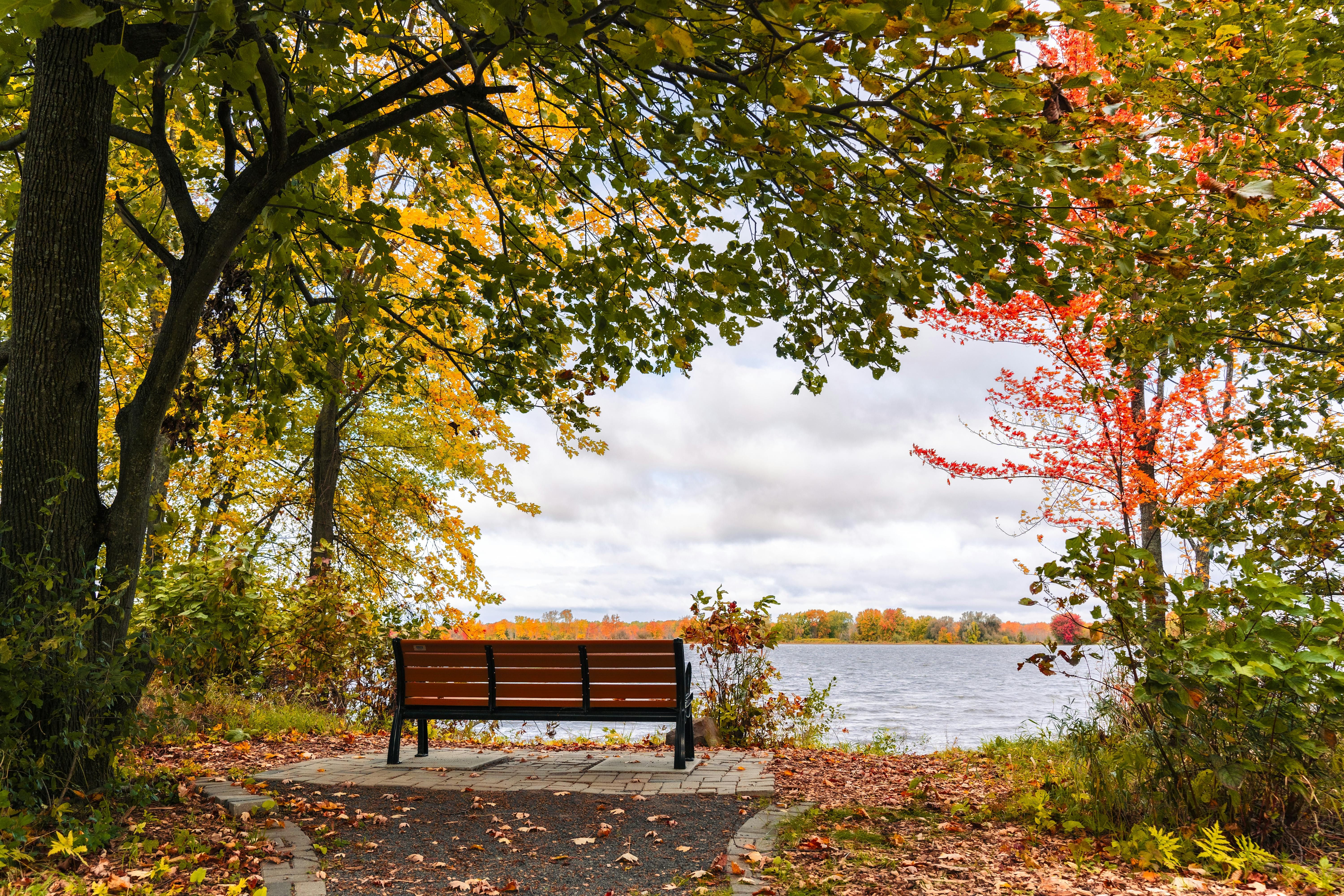 Tivoli Lake Preserve walk