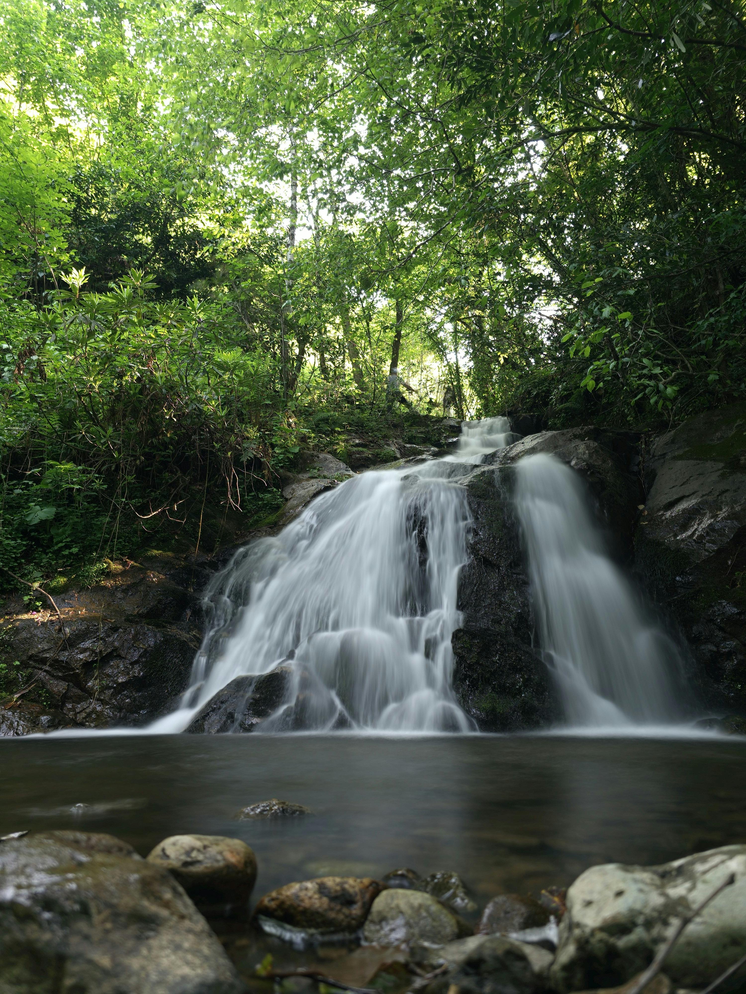 A tranquil waterfall flows in a lush forest setting, perfect for nature lovers.