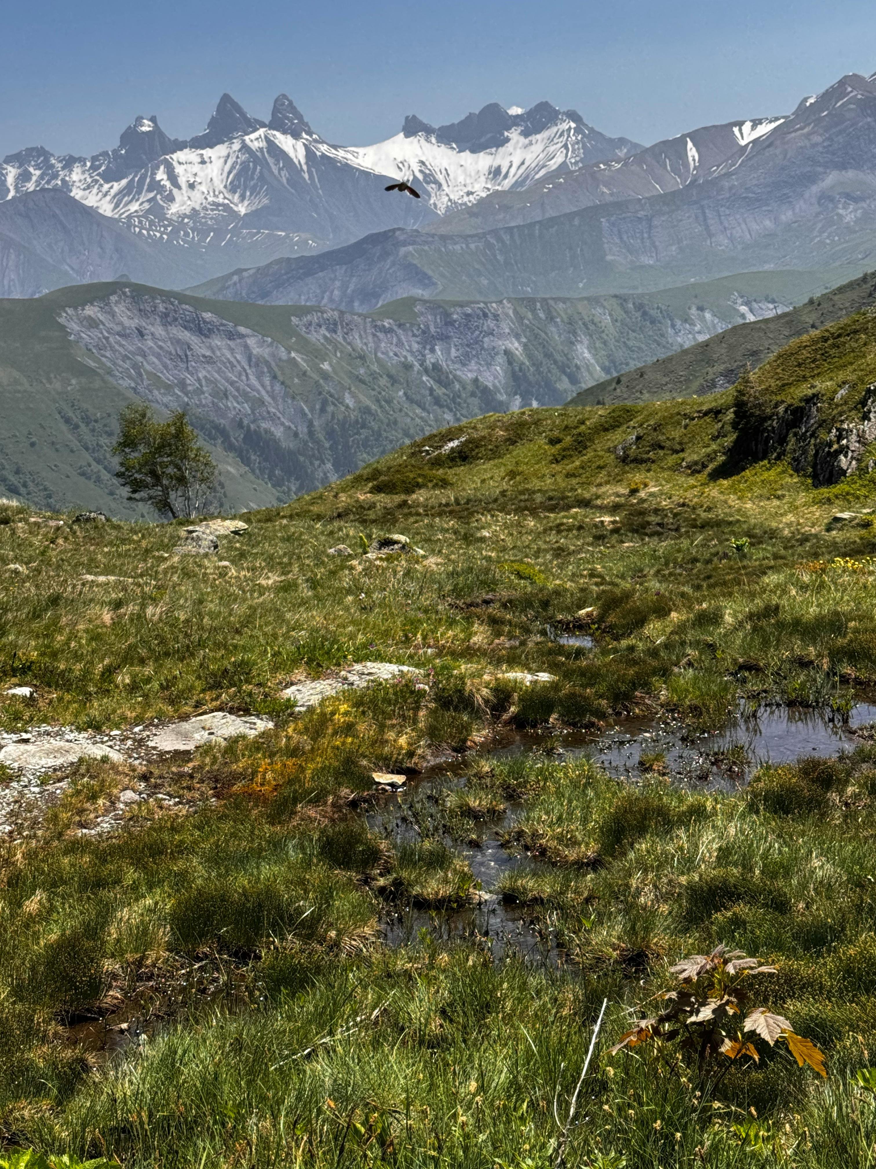 Photography ⁣Revolution: The Camera ‍Capabilities of iPhone 15 pro Max