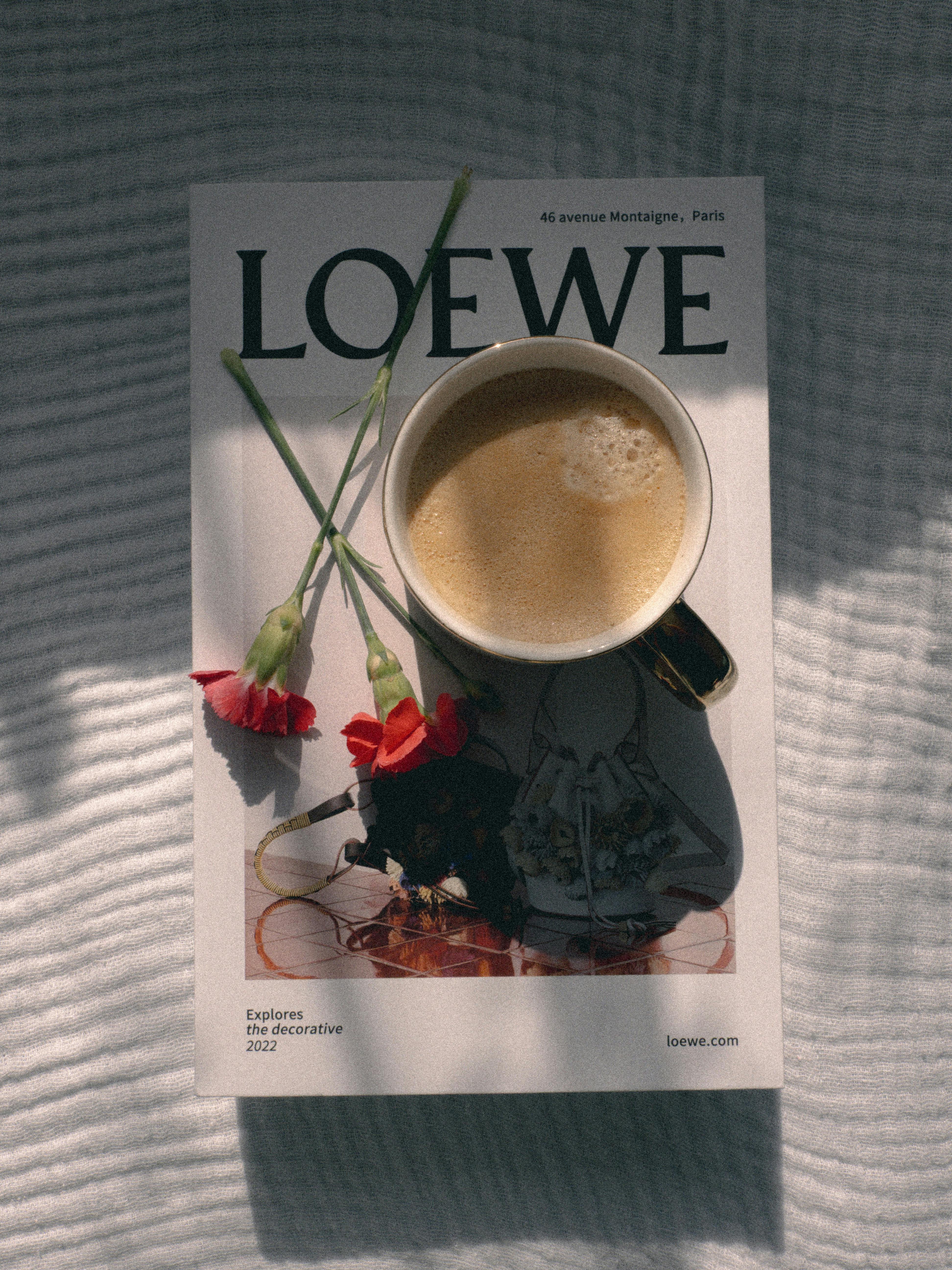 Loewe Gate Bag Small styled