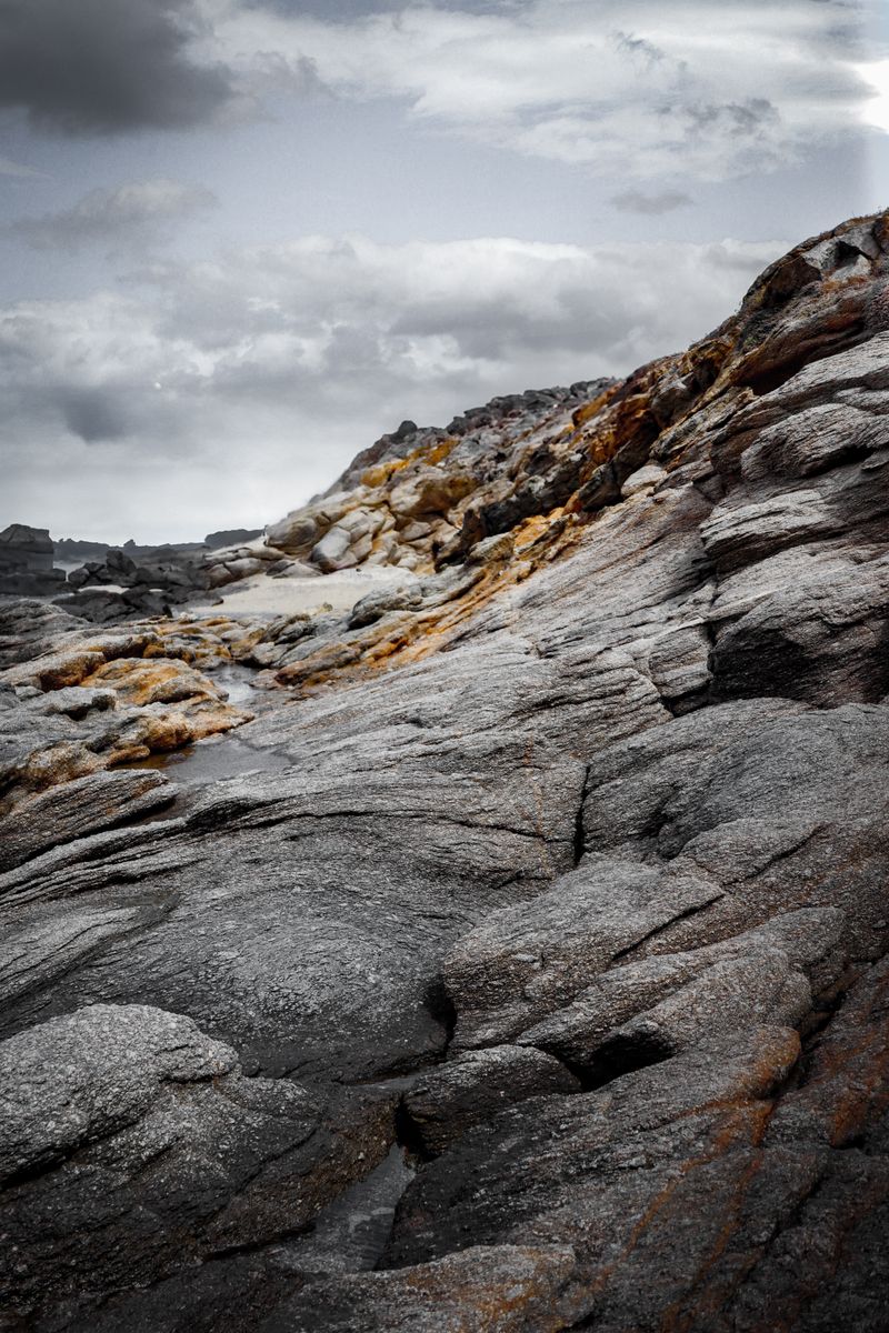Rocky terrain landscape resembling exposed fossil beds