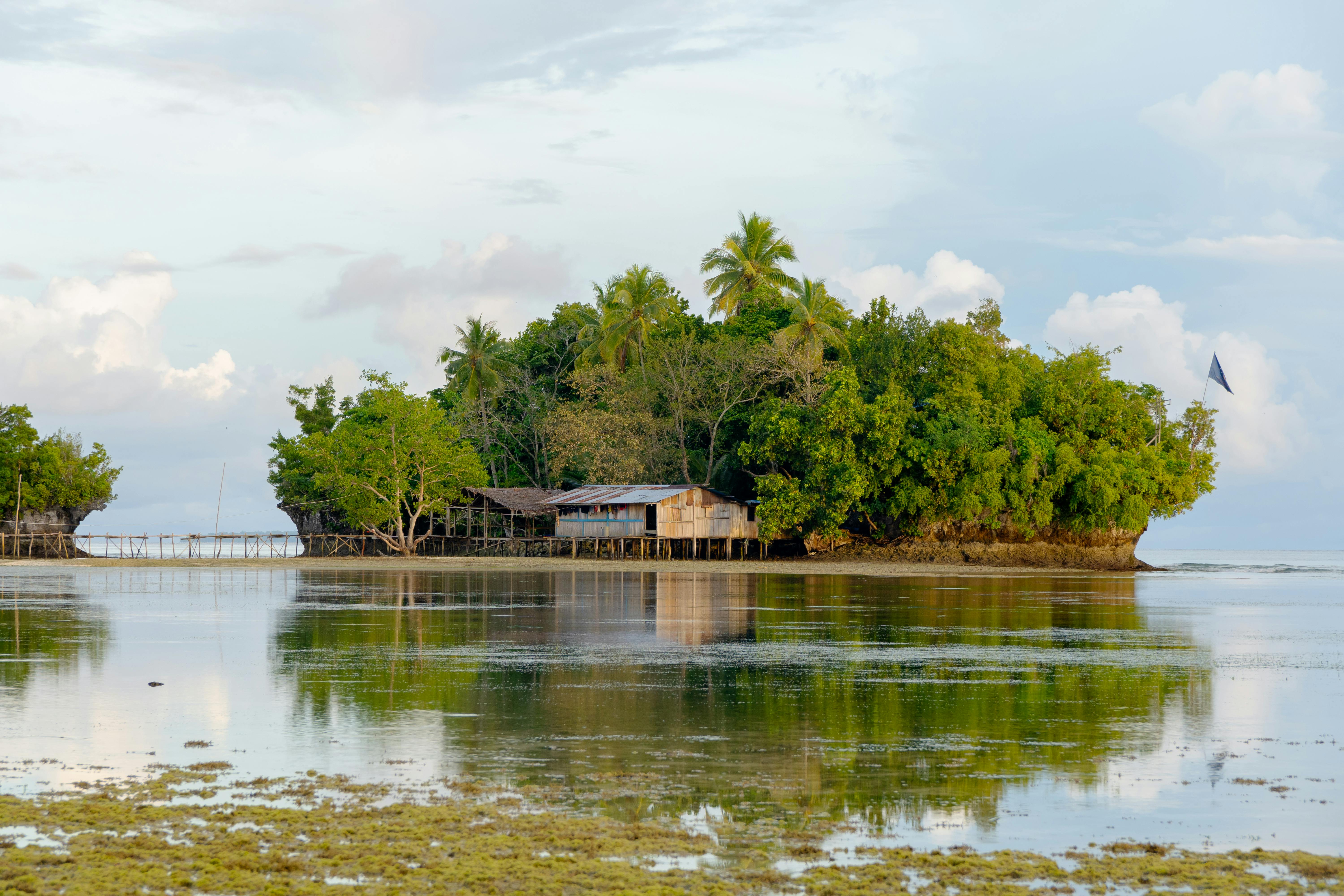 meanwhile, biak island papua is seen at an angle.