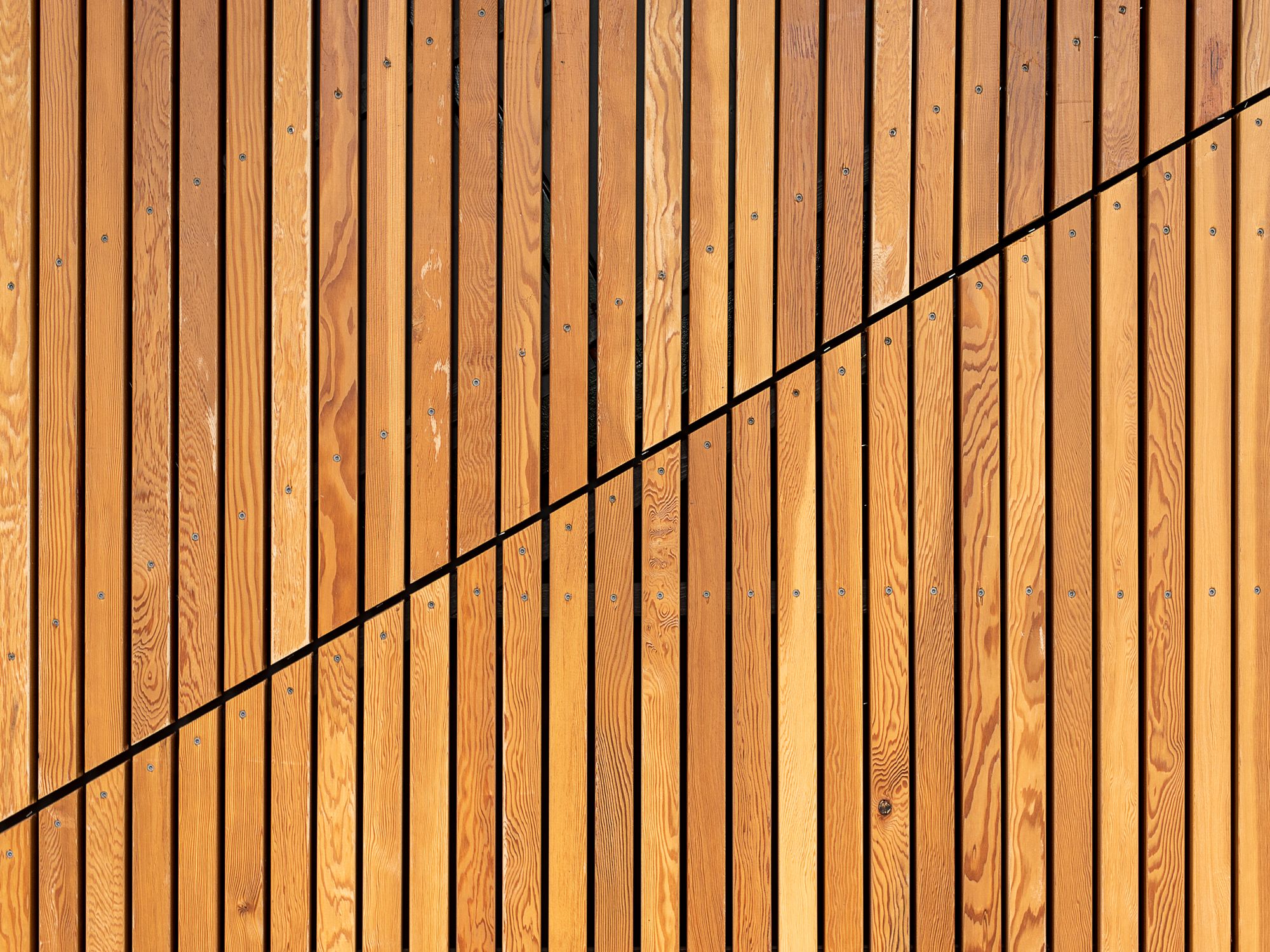 Fence and Decking Painting in South Hackney, Hackney — garden fence being painted with weatherproof wood finish