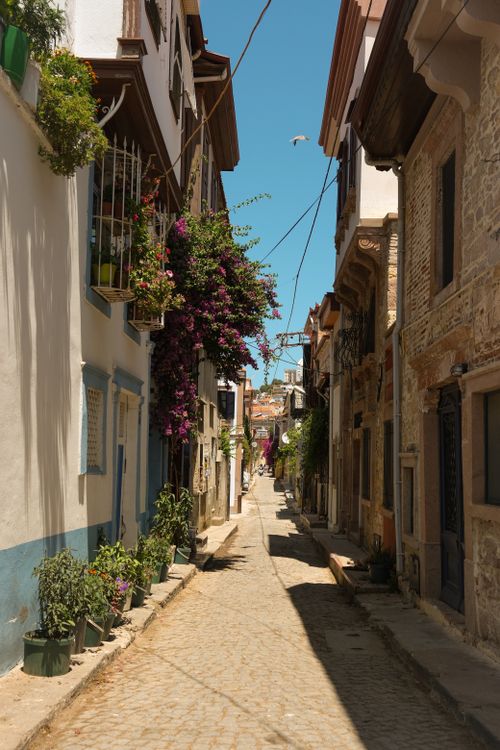 Free Picturesque narrow street in Ayvalık, Türkiye, with blooming flowers and rustic architecture. Stock Photo