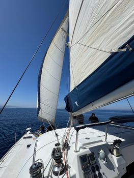 Experience a thrilling sailing journey on the ocean under clear blue skies.