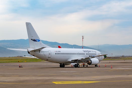 A Georgian Wings airplane parked at Tbilisi Airport with mountains in the background.
