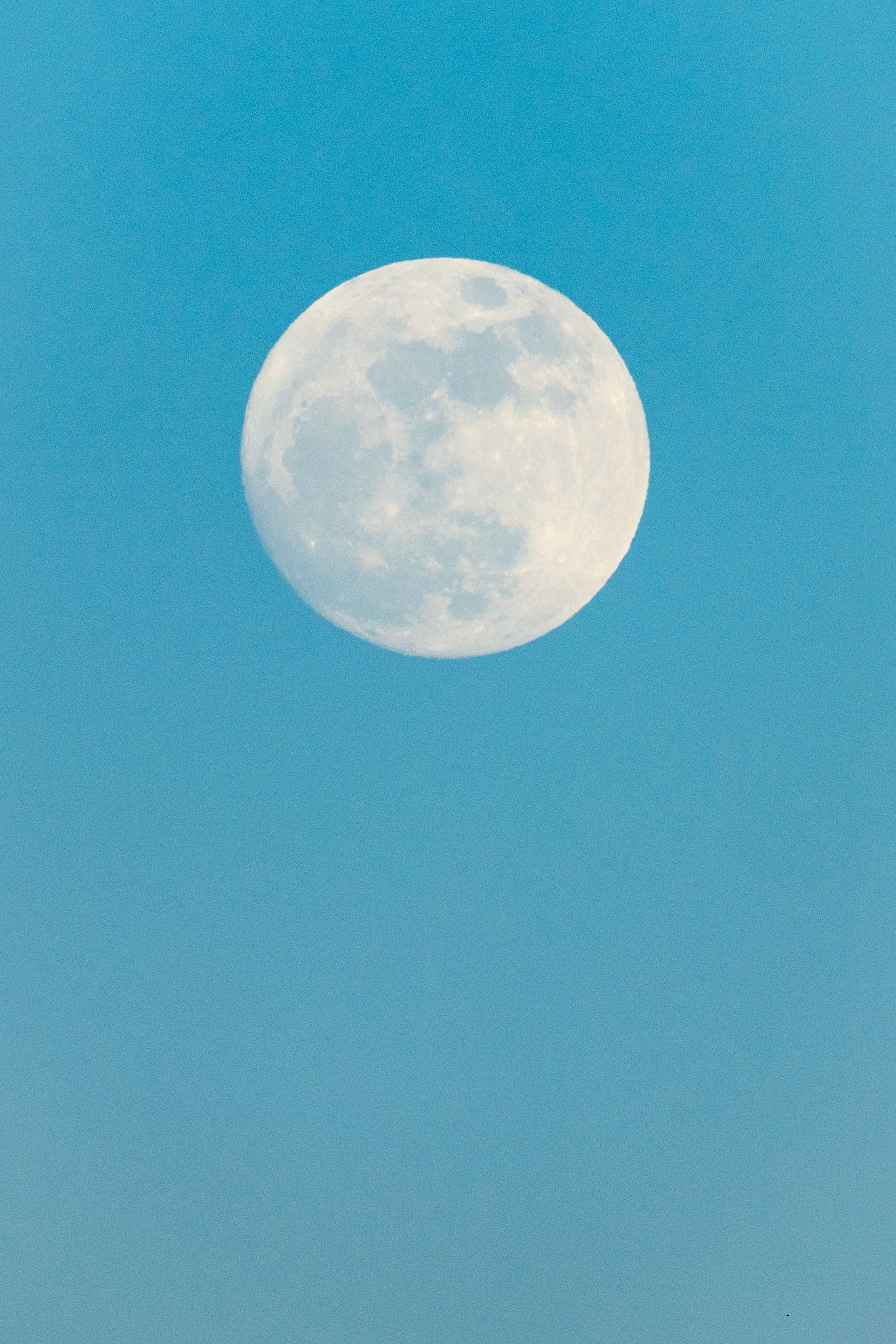 Lua Cheia No Céu Diurno Com Tonalidade Azul · Foto profissional gratuita