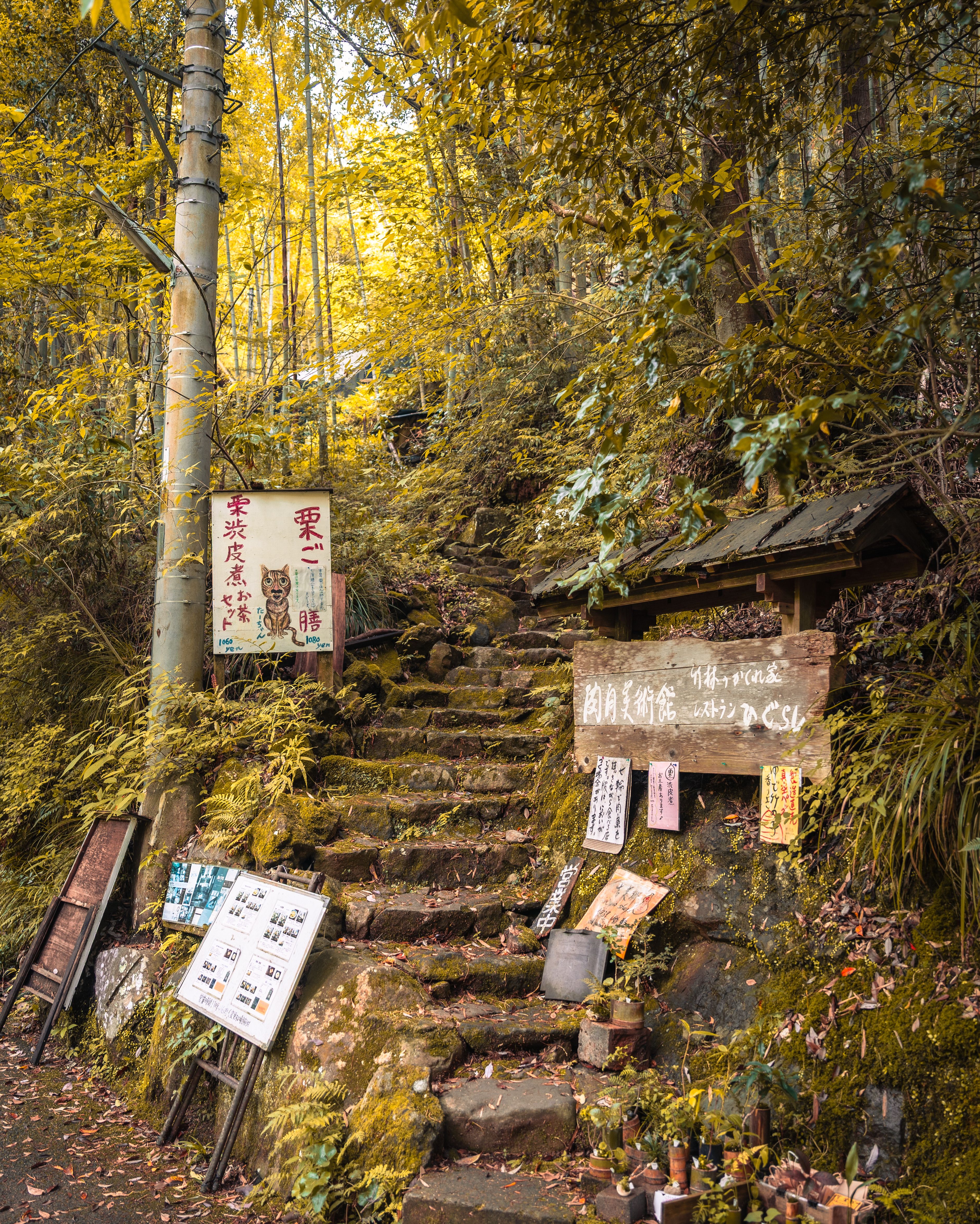 Yume no Tsuribashi