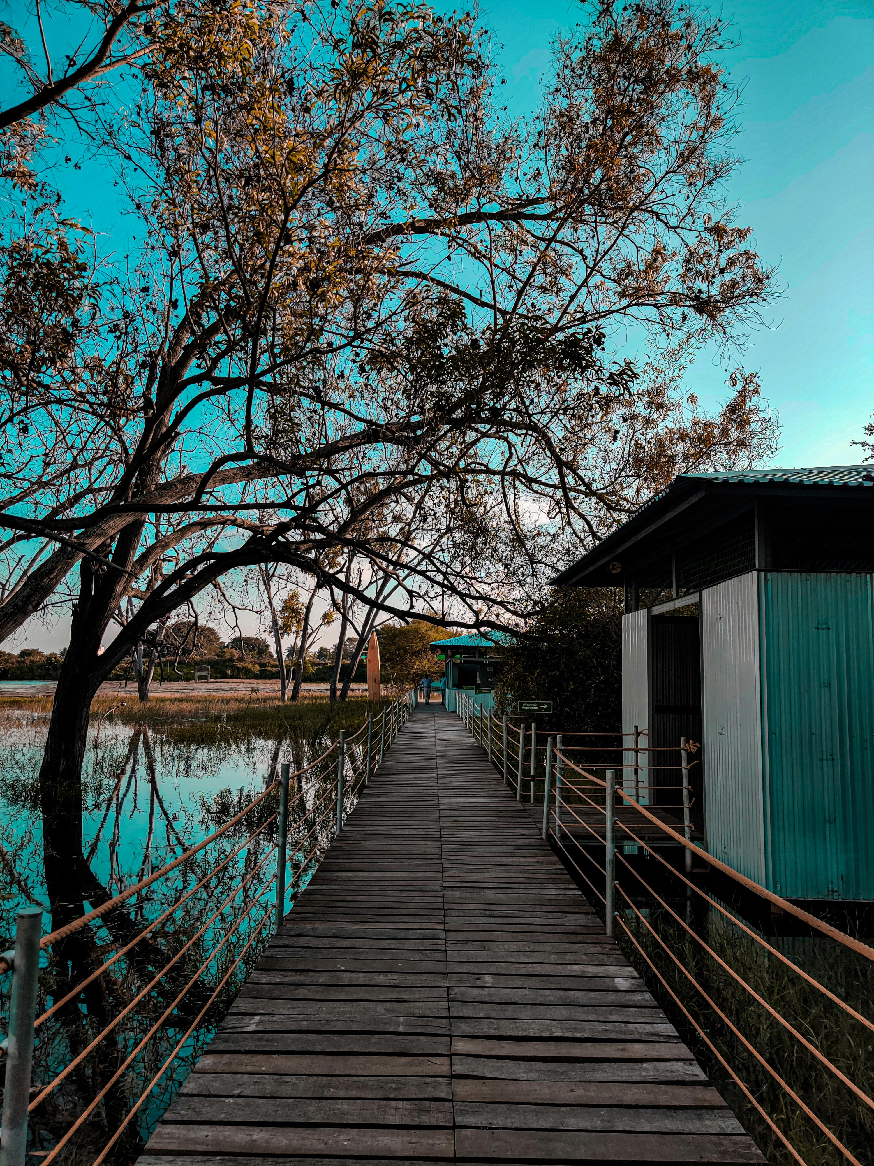 Aflah VP · Fotografia