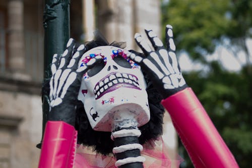 Fotos de stock gratuitas de cultura, México, muerto