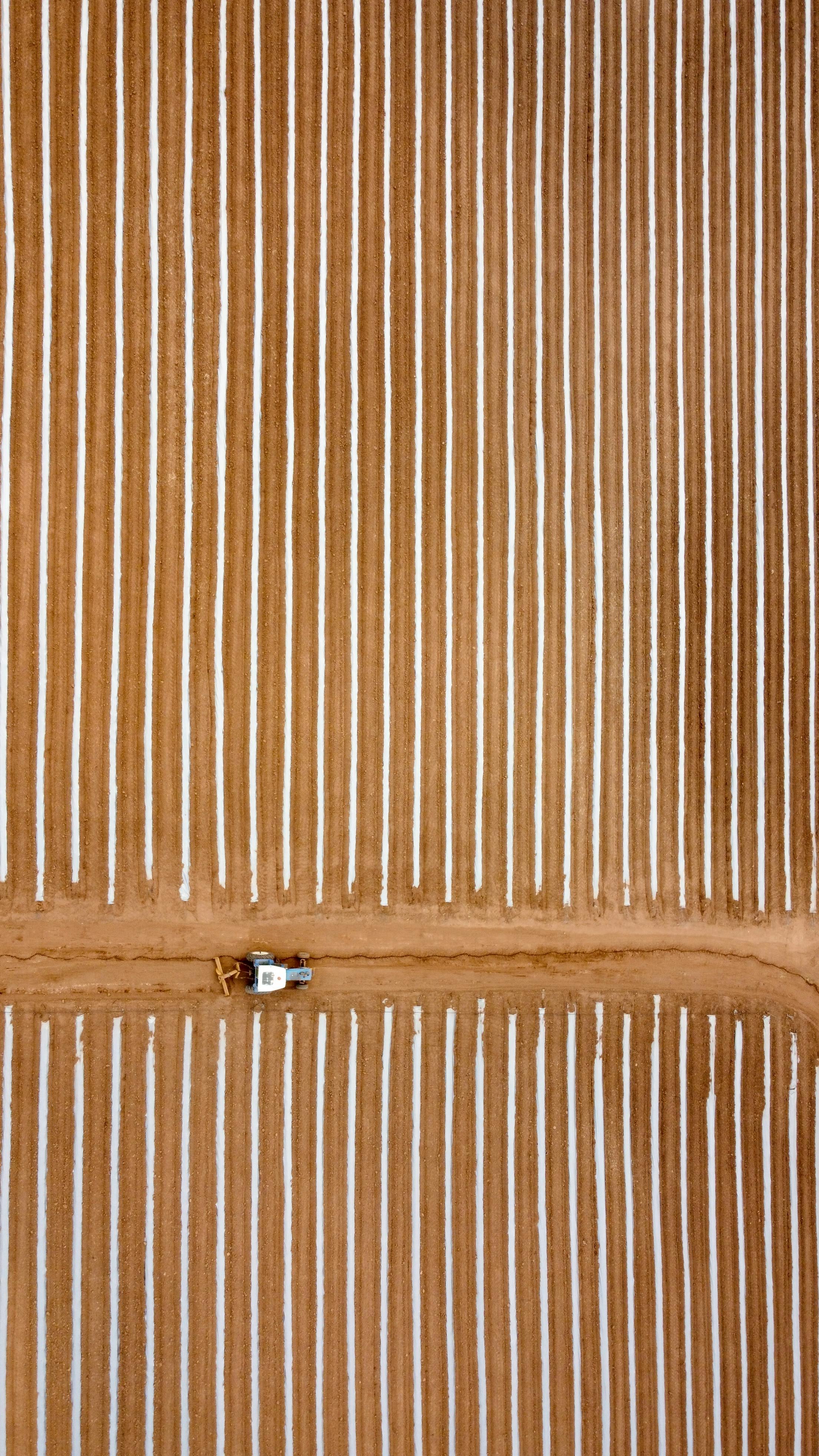 grátis Capturada em Ensenada, esta foto aérea mostra campos de cultivo perfeitamente alinhados com um trator solitário. Foto profissional