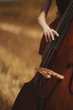 A close-up shot of a person's hand elegantly playing a double bass in a sunny outdoor field.