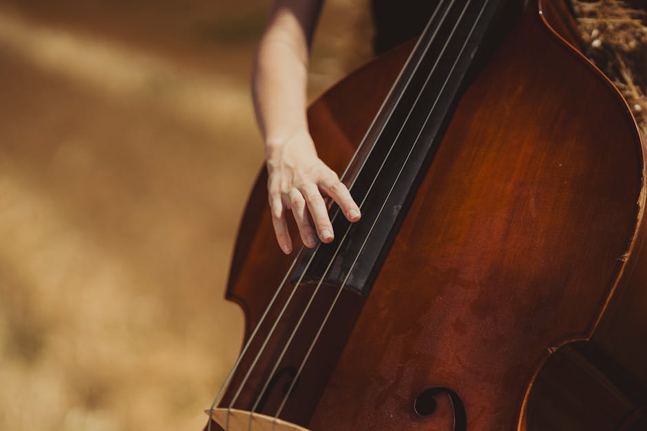 Melodic Fuel for the Inquisitive Mind