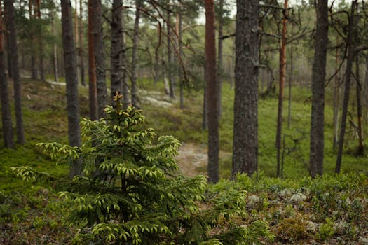 Photo by Lauri Poldre