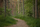 path